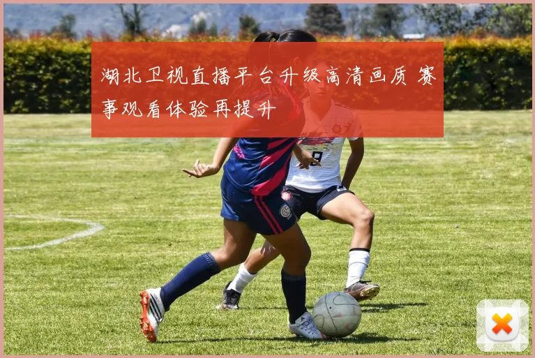 湖北卫视直播平台升级高清画质 赛事观看体验再提升