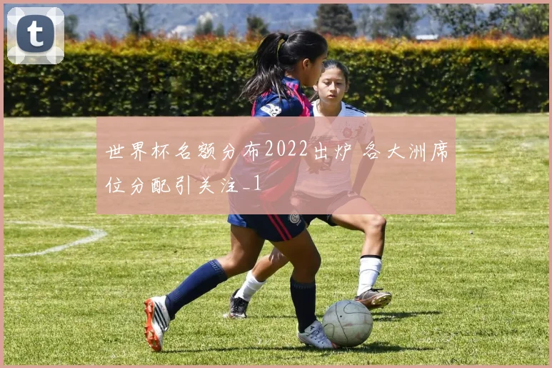 世界杯名额分布2022出炉 各大洲席位分配引关注_1