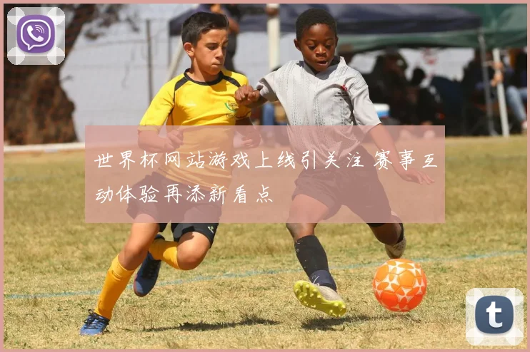 世界杯网站游戏上线引关注 赛事互动体验再添新看点